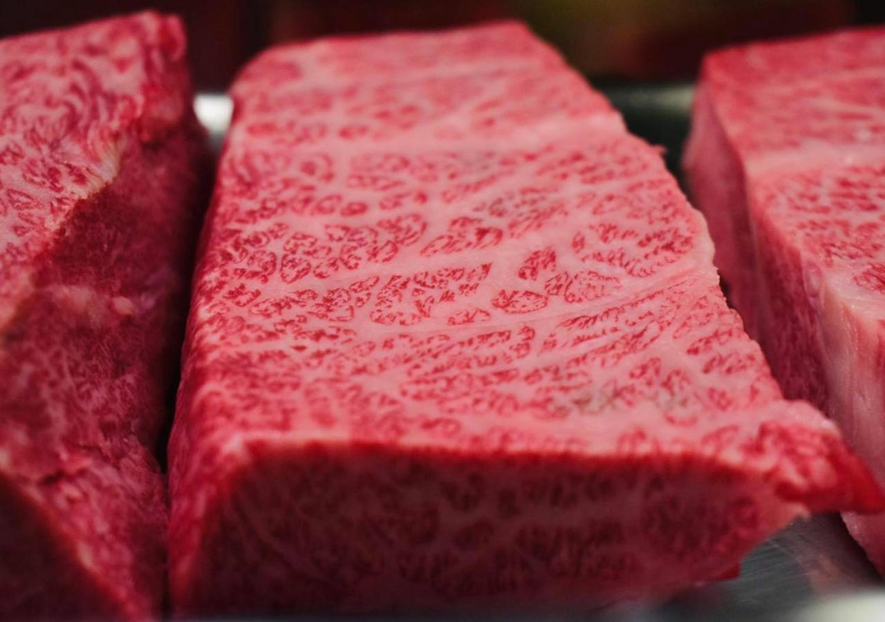 筋肉と自然と遊ぶ宿 田島館 Takayama  Bagian luar foto